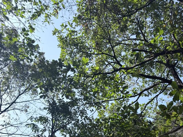 浙西天池关闭？别慌！吴越古道+桃花溪三尖徒步攻略来“救场”～