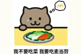 后续！胖猫事件女友谭竹被曝女同，多个商家给“胖猫”致歉图片