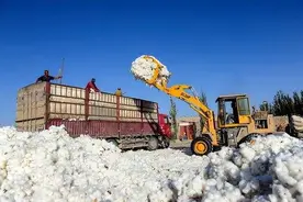 我国每年进口200万吨棉花，却把大量优质棉卖给外国人，这是为何图片