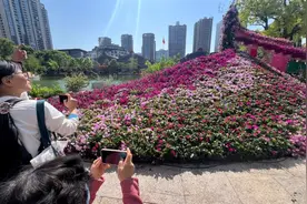 “全城花事”提前探营！带你玩转上海国际花展图片
