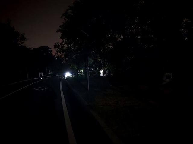 夜幕下的夏日狂欢！郑州树木园里成群结队摸“爬叉”
