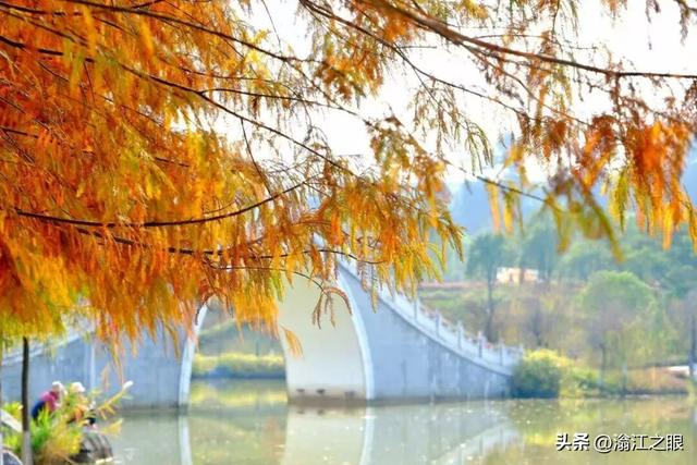 遛娃、约会、发呆…一份在韶关武江完美的晒太阳方案是这样↓