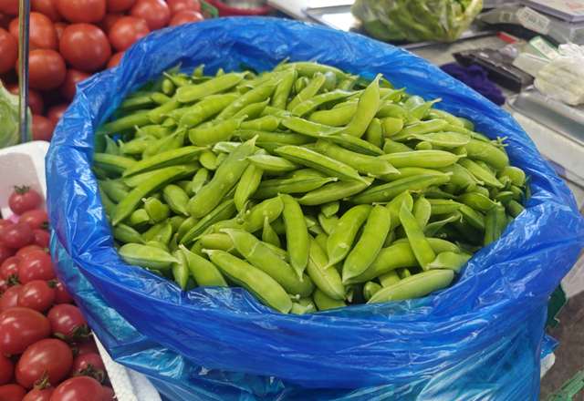 藏不住了！萧山的春天，美到犯规！