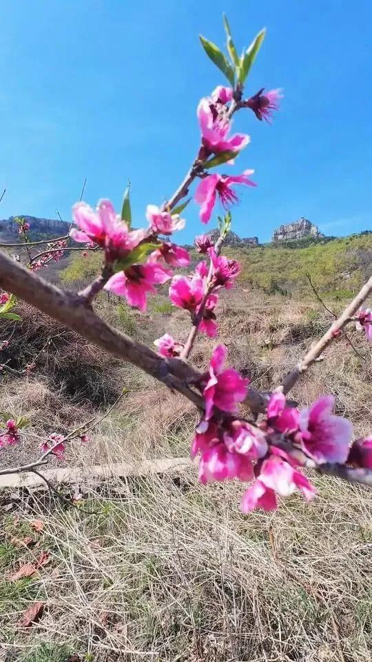 全免费！临沂春假建议安排一天：爬山峰、钻山洞！