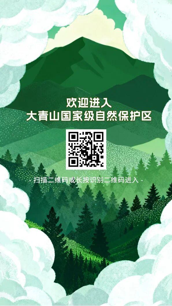 守护者招募令→大青山国家级自然保护区，等你来“守护”！