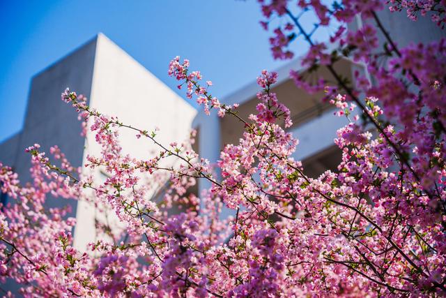 河北大反转！承德杀出重围，石家庄唐山都没想到，焦点为啥是它