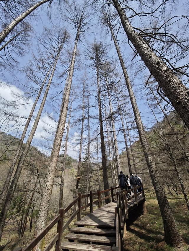 汉中留坝南郑勉县三日游