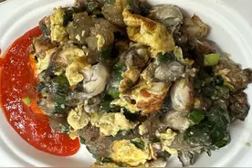 台湾有多少闽南人？图片