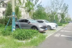 绿地里的停车场、能充电的停车场、能洗车的停车场……南阳停车也升级 从“停得了”迈向“停得好”图片