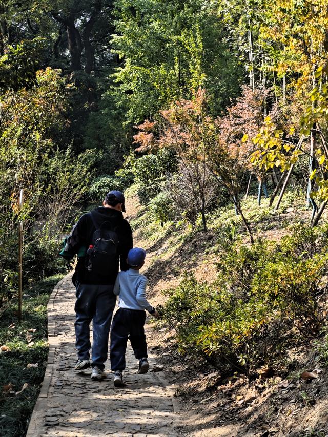 带4岁娃爬上海松江天马山，2小时轻松搞定，花费不到30元