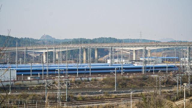 被严重低估的贵州毕节：这100多平方公里的杜鹃，不看真的会后悔