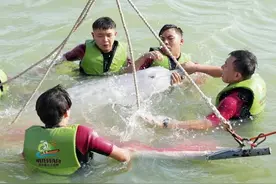 救你上岸，送你回家！福建首次成功救助中华白海豚放归图片