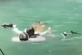 后续！浙江被救女孩母亲上门感谢救命恩人，身份曝光：是退伍军人图片