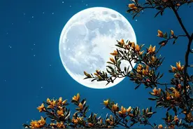 古人对各物的雅称，收藏！图片