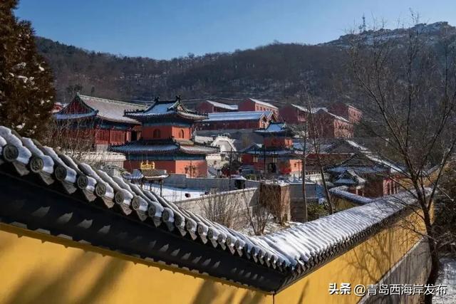 “冬游西海岸”！5条热门线路等你来🤩