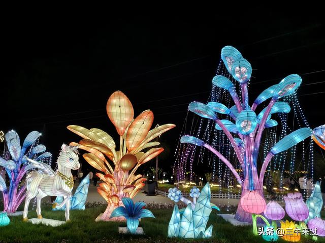 无为在歧路，淄博花灯齐彩城免票