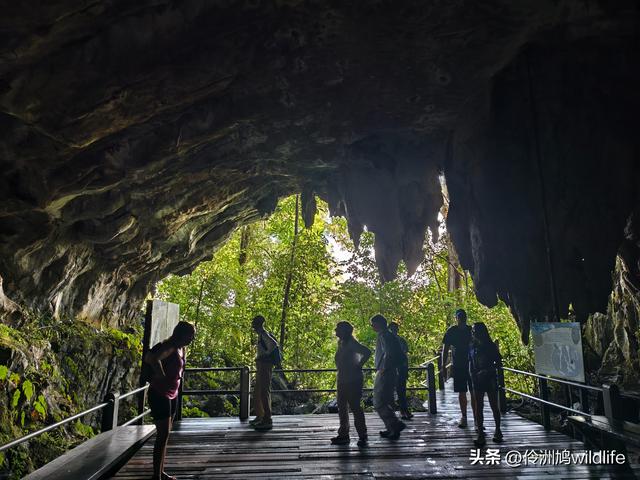 马来西亚(29)砂拉越州③姆鲁山清水洞·风洞