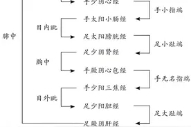 乌梅丸是解开厥阴病：疑难杂症、息肉、肿瘤与癌症的钥匙图片