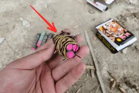 龙年伊始，又闻擦炮引发下水道爆炸，擦炮的威力为何这么大？图片