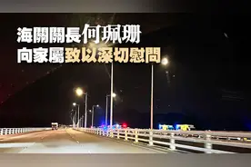 深圳湾大桥上小车坠海 香港海关关员伤重不治图片