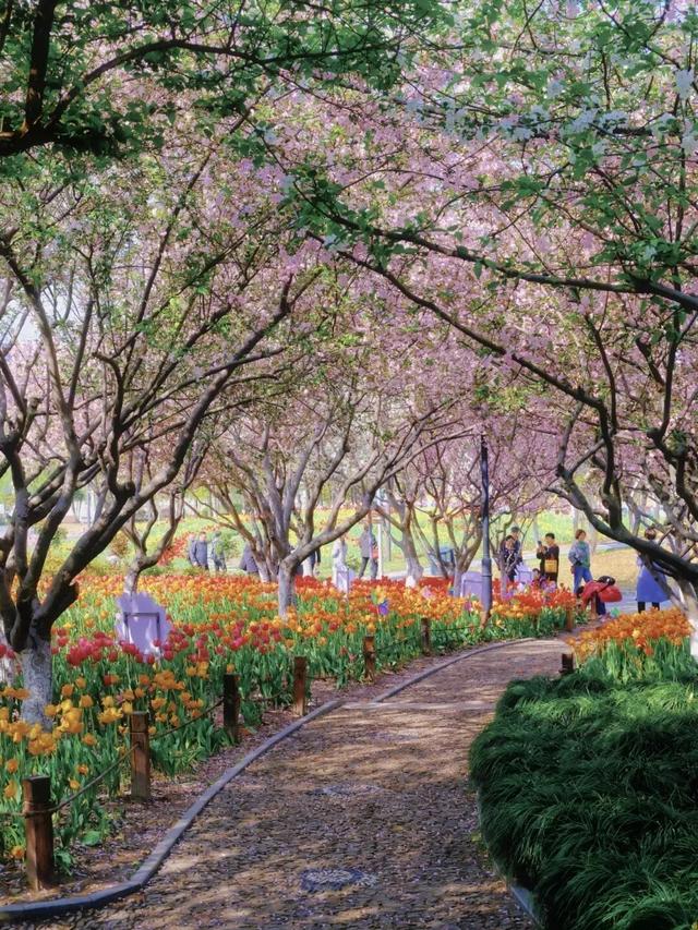 藏不住了！萧山的春天，美到犯规！