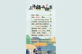 上海入梅时间定了，今年梅雨量偏多！注意：大到暴雨即将来袭，并伴有雷电和短时强降水图片