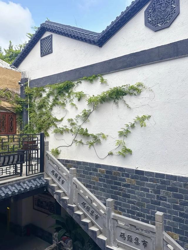 湛江治愈系角落，治好了年轻人的精神内耗！