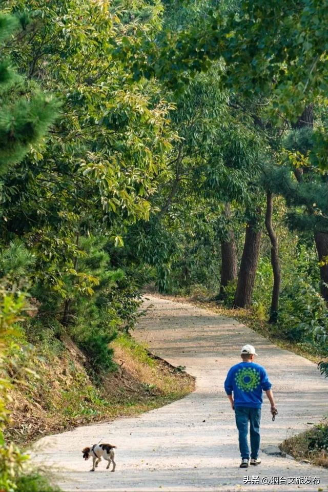 【乐游烟台】正式宣布！下一轮降温前，烟台人该……