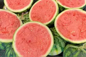 全国西瓜大掉价，东台西瓜却逆势暴涨至2.5元！为何差距这么大？图片