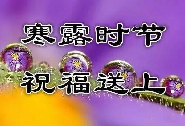 今日寒露，好运到，祝福到！