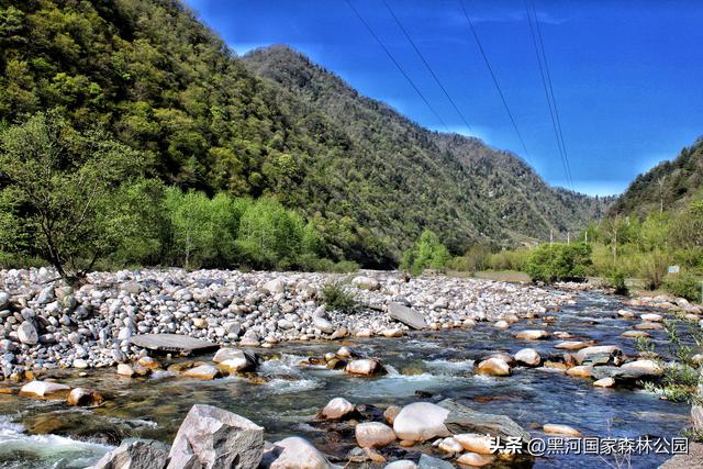 五一宝藏旅行地！2h直达秦岭天然森林氧吧