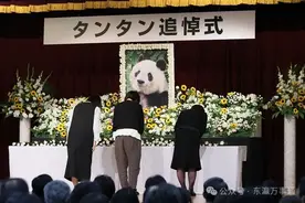 缅怀友好使者“旦旦”：中日熊猫外交健在图片