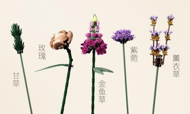 送女友的生日礼物指南，6个浪漫又有仪式感的礼物灵感！