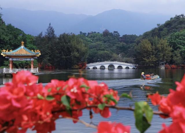 免门票！近2万名江门人游肇庆星湖！