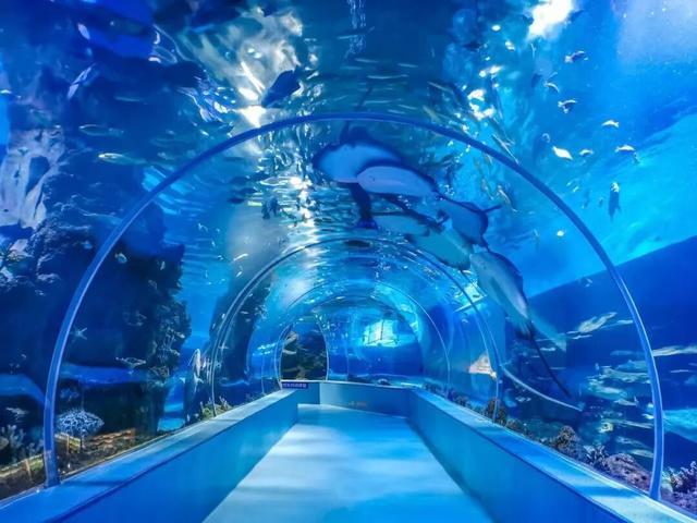 临沂太会玩了！你的短途出行计划，一键收藏