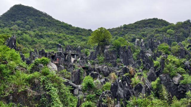 广西小众城市-贺州篇丨后悔没早发现这宝藏山水小城，适合短线游