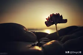 一会想通，一会又纠结，焦虑严重的人默念6句话，内耗竟自动消失图片
