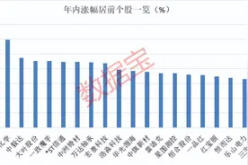 超95%个股年内录得上涨！年内最牛板块今日突发异动图片