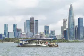 【深圳特区报】深圳湾禁渔10载鱼跃鸟欢图片