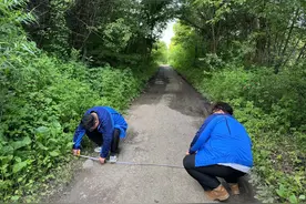 蹲点笔记｜森林“探险”记图片