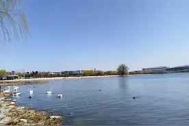 青春期孩子怼家长时，不要愤怒和说教，牢记“乌鸦定律”接住孩子图片