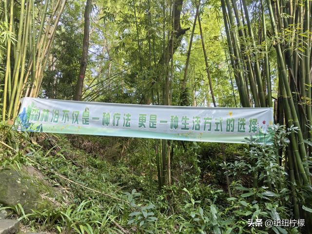 户外徒步之挑战缙云九峰，从健身梯道到狮子峰，走了四小时