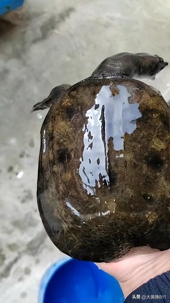 认识大美浙江的每个县——第12波：德清