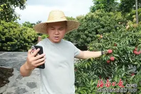 海口这个“藏”在乡村的小果园，引来多国游客→图片