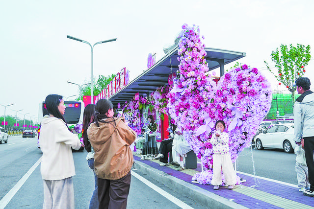 四月菏泽 人间最美的风景——中外游客共赴花事，乐享春日美好时光