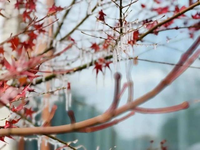 雪҈ 雪҈ 雪҈ 太美啦！快接住这“泼天”的雪白浪漫！