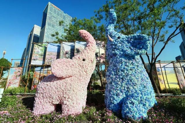 2026北京国际花展丨0元入场，10万平方米室外展区怎么玩