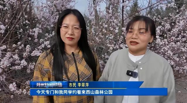 朔州：这片桃林，人真多