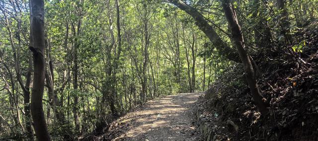 绍兴梅坞古道一条 对新手小白特别友好的线路