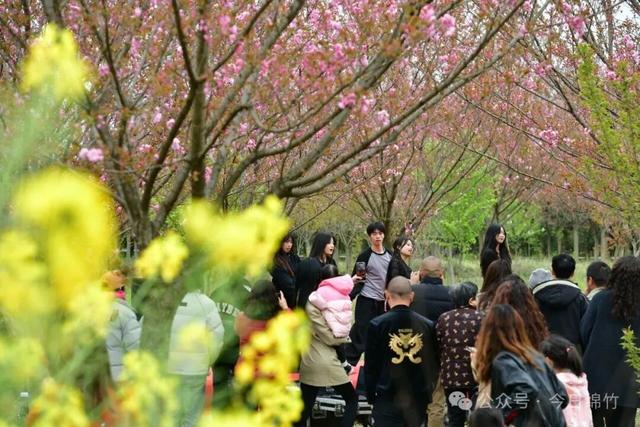 闹热得很！再过两天，绵竹这里又是人山人海……